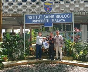 Prodi Biologi UBB inisiasi Kerjasama dengan Departemen Biologi Universiti Malaya, Malaysia